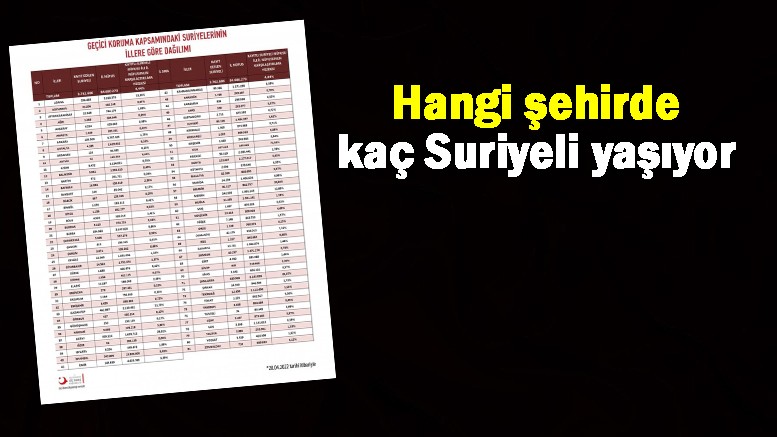 Hangi şehirde kaç Suriyeli yaşıyor