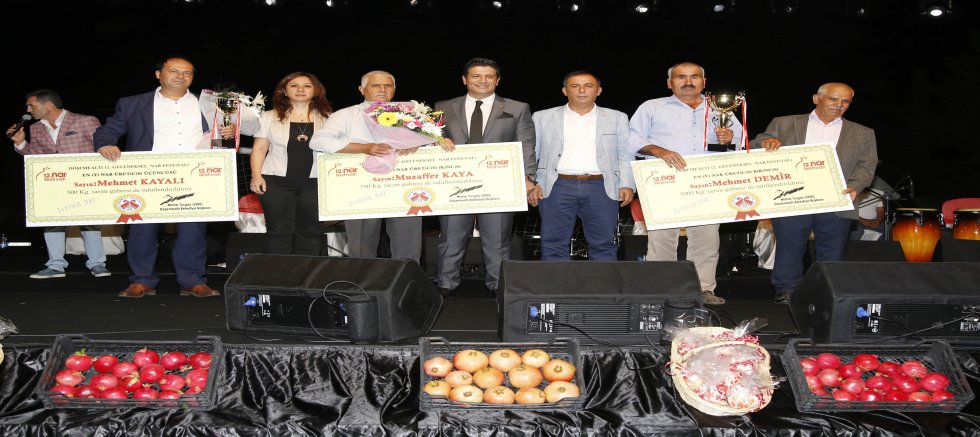Döşemealtı Nar Festivaline hazır