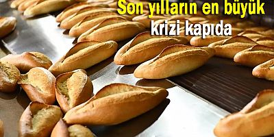 Ukrayna Başbakanı Şmihal: Tahıl hasadı geçen yıla oranla daha az olacak