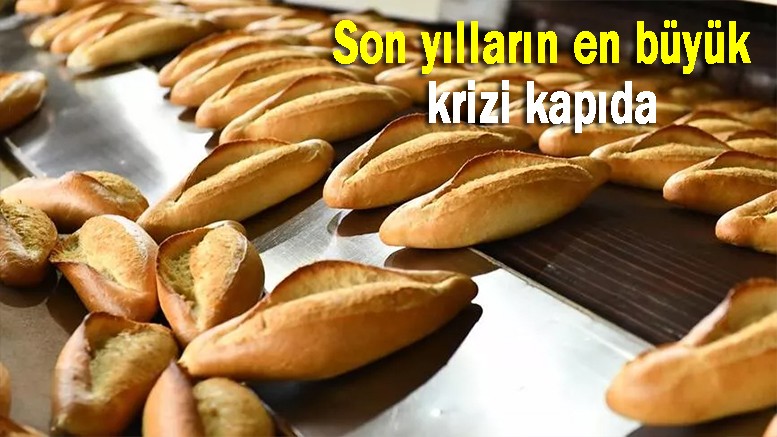Ukrayna Başbakanı Şmihal: Tahıl hasadı geçen yıla oranla daha az olacak